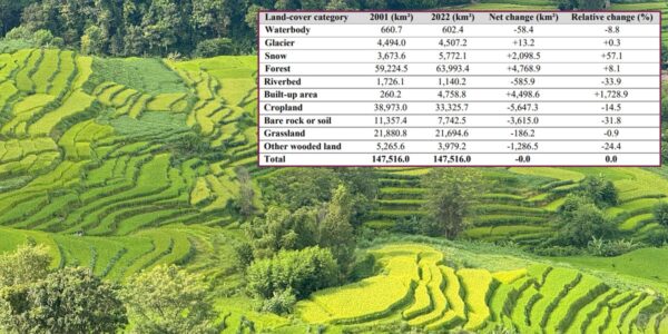 Cropland shrinks 14.5% over two decades