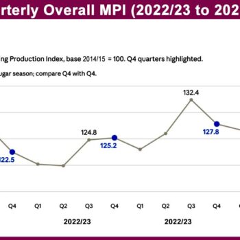 Manufacturing output posts modest 0.86% growth in 2025/26